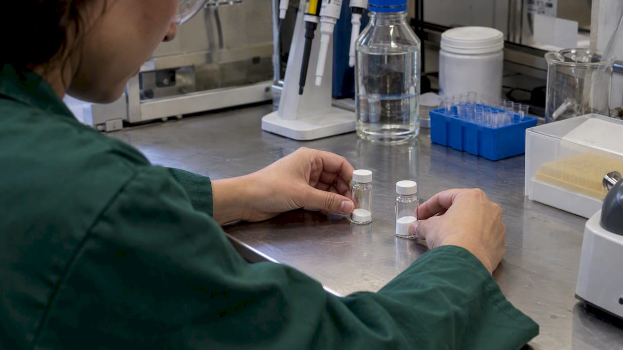 Alpha-GPC vs Citicoline: Compare Evidence, Labels & Goals